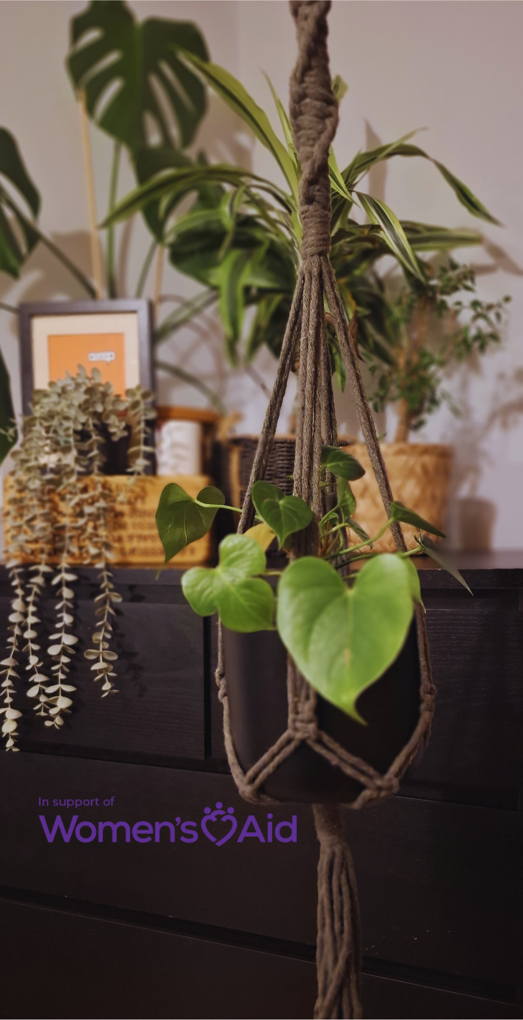 Help Women's Aid - Olive